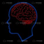 Electric Blue Outline of Human Head with Red Outlined Brain